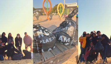Movámonos por un futuro mejor: CEENV realiza limpieza de Playa del Deporte