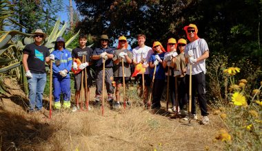 Estudiantes UAI participan en voluntariado preventivo de desmalezamiento en la Quinta Vergara